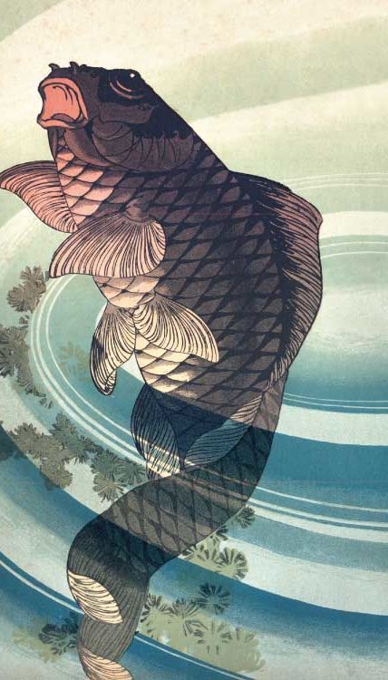 Remise trophees Natation 2022