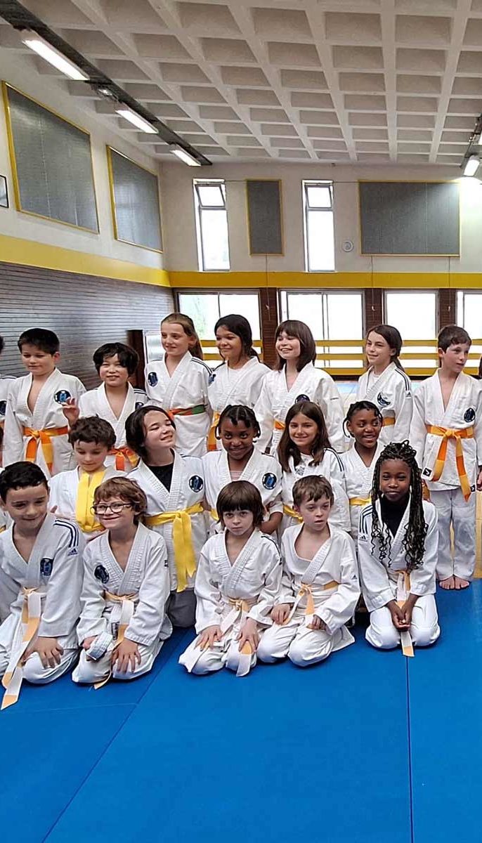 Remise de ceintures pour les poussins (nés en 2015 et 2014)...